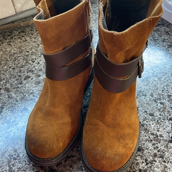 Steve Madden Dormaa Suede Moto Bootie Buckles Size 6.5M side zip double buckle - Picture 2 of 15